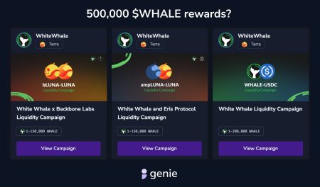 WHITEWHALE Tokens: The Investor Who Transformed $68,240 into Millions WHITEWHALE Tokens: The Investor Who Transformed $68,240 into Millions