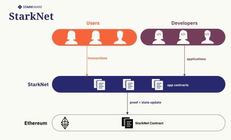 Starknet Downtime: Latest Updates on Mainnet Issues