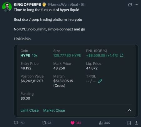HYPE Long Orders: Brother Ma Ji’s Investment Strategy HYPE Long Orders: Brother Ma Ji's Investment Strategy