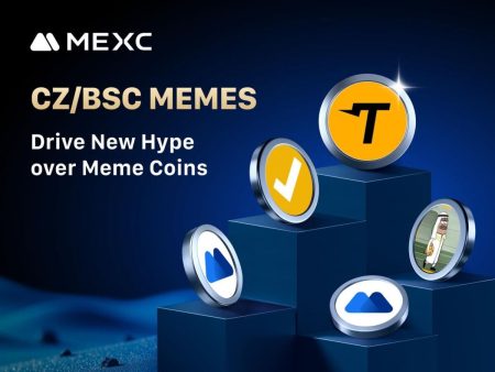BSC Meme Coin Surpasses $29 Million Market Cap—What’s Next?