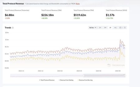 Protocol Revenue Growth: Aave's Need Over Token Buybacks