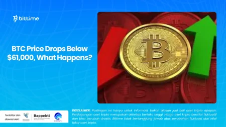 BTC Drops Below 92,000 USDT: What's Behind the Decline?