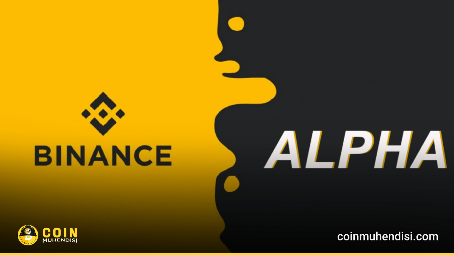 Binance Alpha DN Coin Launch: What You Need to Know About This New Asset