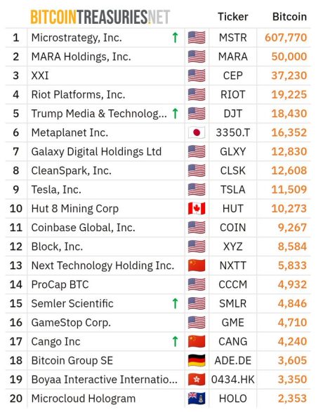 Publicly Listed Companies Bitcoin Holdings: Top Insights