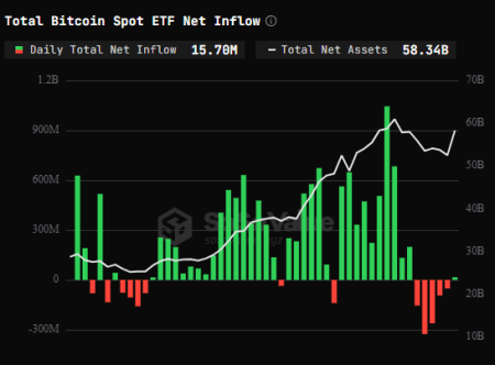 Bitcoin ETFs Net Outflow: What This Week’s Figures Reveal