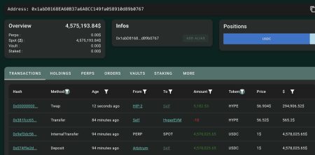 HYPE Whale Purchase: $1.73 Million Investment in HYPE