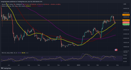 Bitcoin Price Drop: Are Whales Signaling a Bigger Decline Ahead?