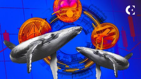 SAHARA Whale Transaction: $7.97 Million Loss on Binance