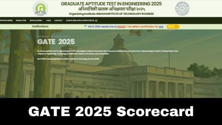 Gate 2025 Annual Report: Market Share and Innovations