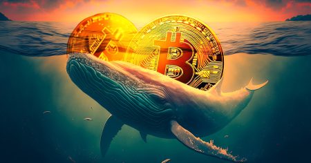 Bitcoin Whale Behavior: Misinterpretation and Declining Demand