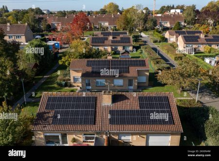 Aster Project: Stopping Losses and New Crypto Opportunities