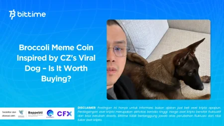 CZ Meme Coins: The Misunderstood Truth Behind His Comments