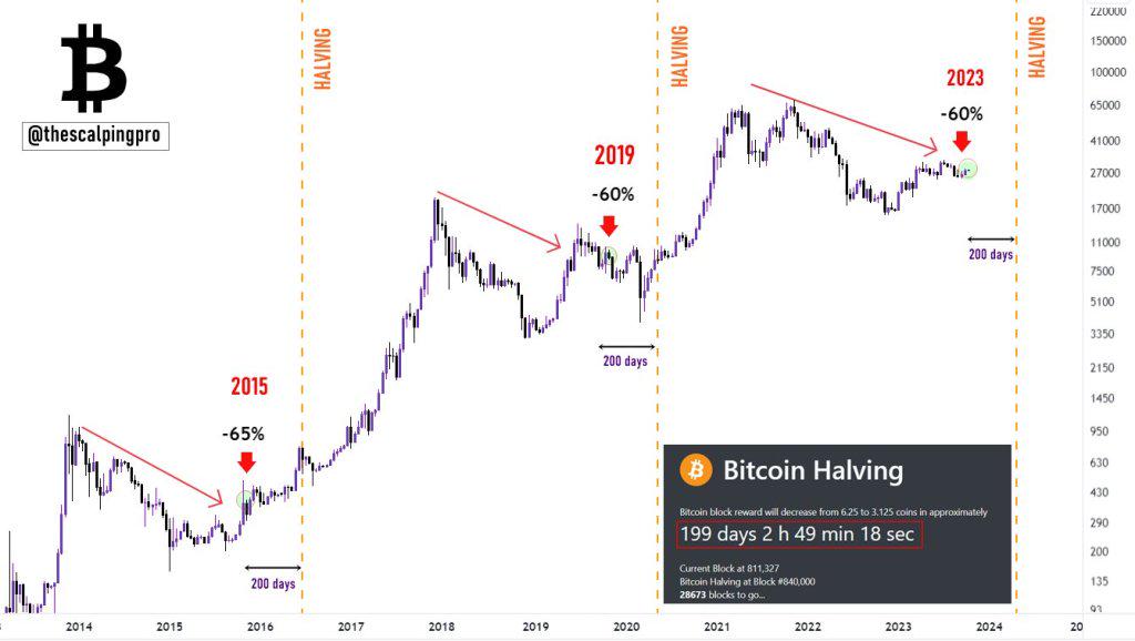 Bitcoin Recovery Patterns After Down Years: Will 2026 Repeat History? Bitcoin Recovery Patterns After Down Years: Will 2026 Repeat History?