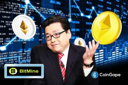 Bitmine Staked ETH: Uncovering Tom Lee's 1.08 Million ETH Hold