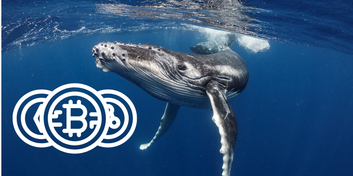 image_cea4123d-48f8-406e-8c2f-3546b2fffb48png - Bpay News