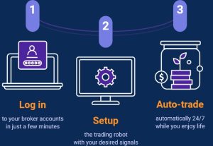 image_db58fa93-9a24-4917-af26-1244ed68ad53png - Bpay News