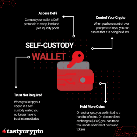 Bitcoin Self-Custody: How Analog January Inspires a Digital Detox