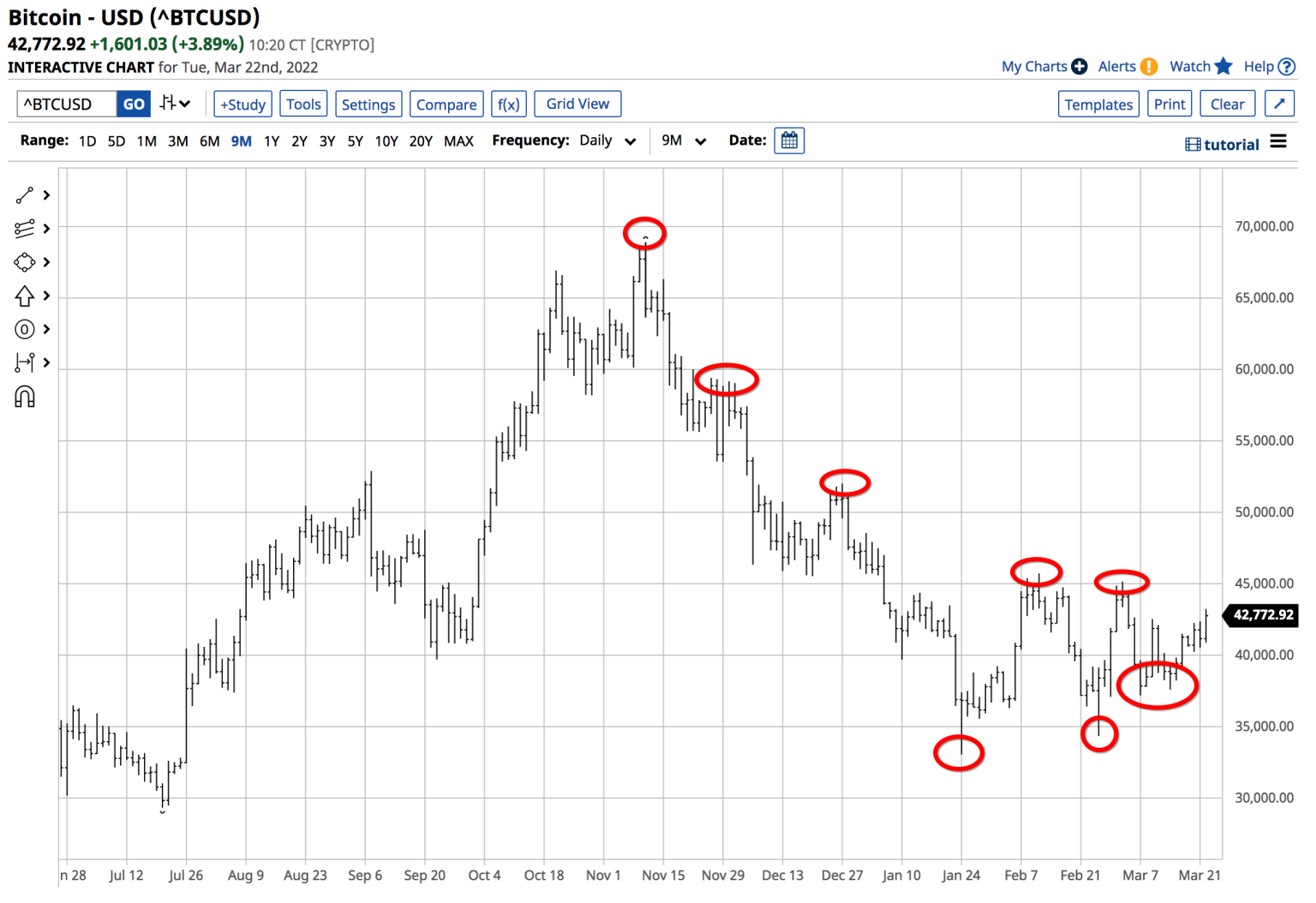 image_ed03679c-ee85-45f8-8c80-143293986a6epng - Bpay News