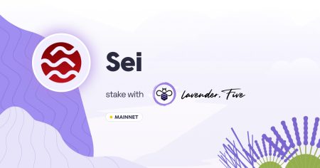 Sei Validation Nodes: Revolutionizing Bhutan's Blockchain Infrastructure