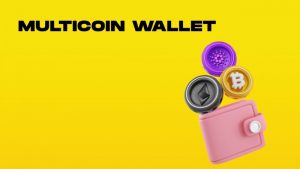 image_75a03272-8847-419d-884c-7beb083ea89fpng - Bpay News