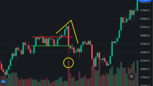 image_95dbc56d-5952-431a-9b11-fd8a43c95fbapng - Bpay News