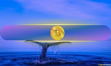 Bitcoin Whales Nudge $68K Mark with 20K+ Wallets