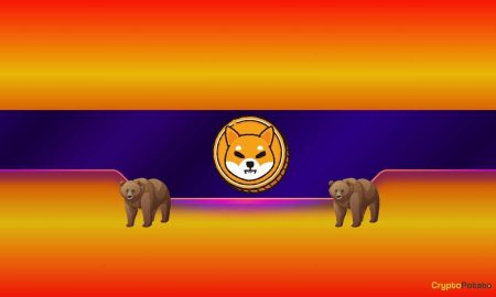 Shiba Inu Drops 17% in Two Weeks: Will There Be a 75% Shiba Inu Drops 17% in Two Weeks: Will There Be a 75% Selloff?