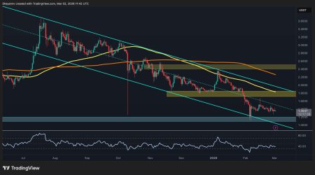 XRPs Bullish Path: Key Levels to Monitor in Altcoin XRP's Bullish Path: Key Levels to Monitor