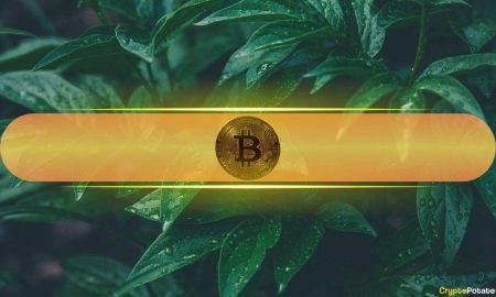 Analysts Anticipate Market Supercycle as BTC Surges Above $70K in Bitcoin Analysts Anticipate Market 'Supercycle' as BTC Surges Above $70K